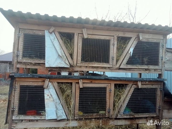 Клетки для кролика