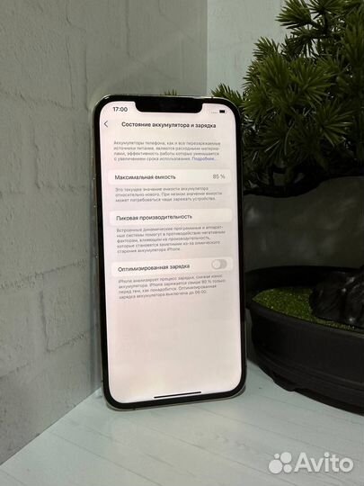 iPhone 12 Pro Max, 256 ГБ