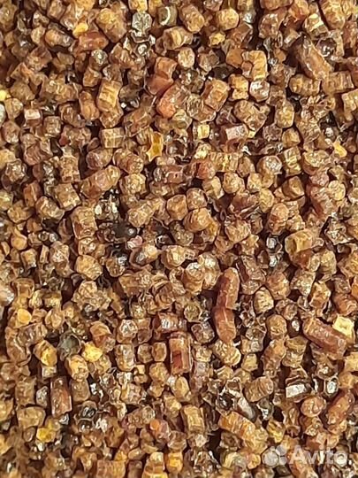 Перга пчелиная