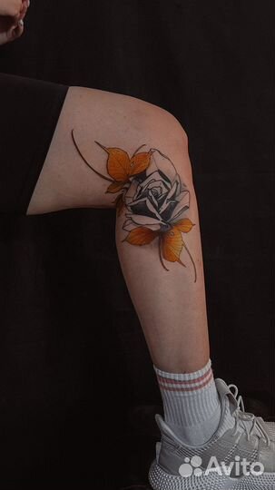 Обучение с нуля