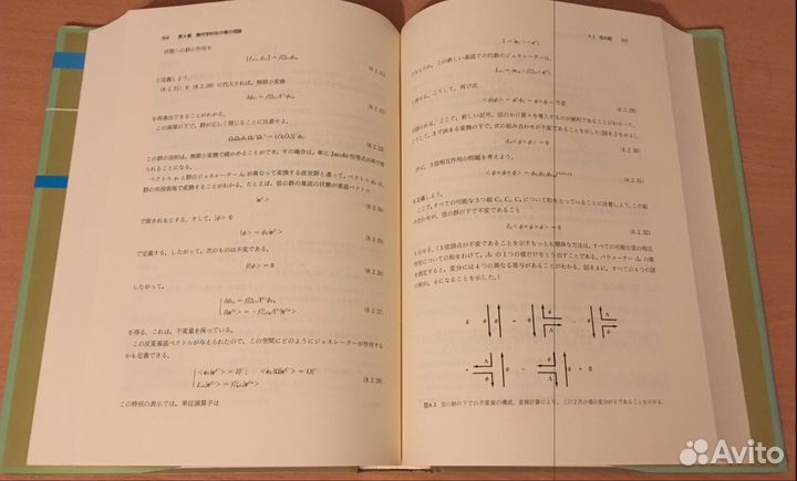 Теория суперструн на японском языке, Митио Каку