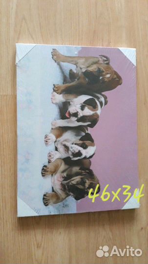 Картины новые