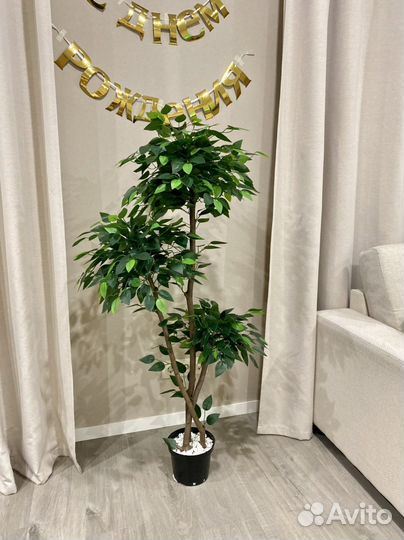 Искуственные растения в наличии и под заказ