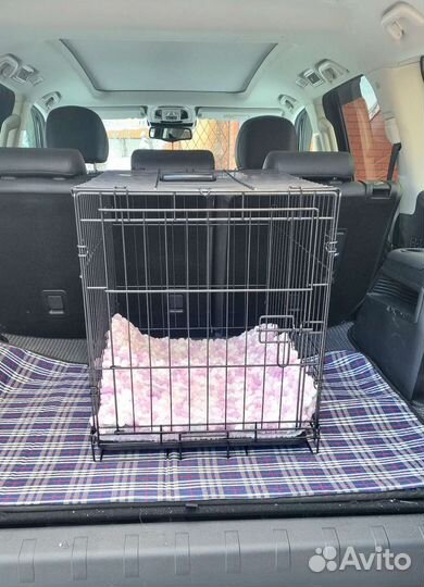 Зоогостиница для собак