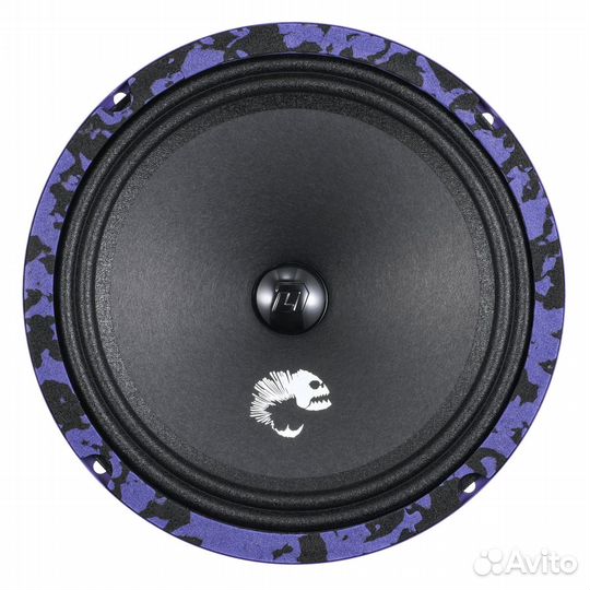 DL Audio Piranha 200