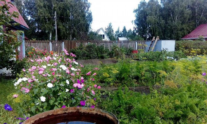 Дача 35 м² на участке 5 сот.