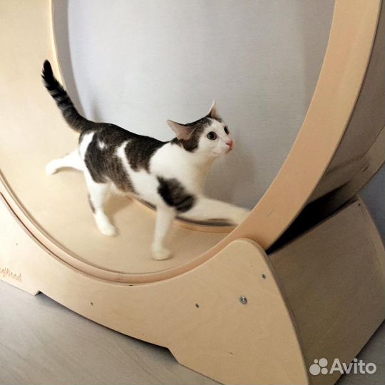 Беговое колесо для кошек и собак