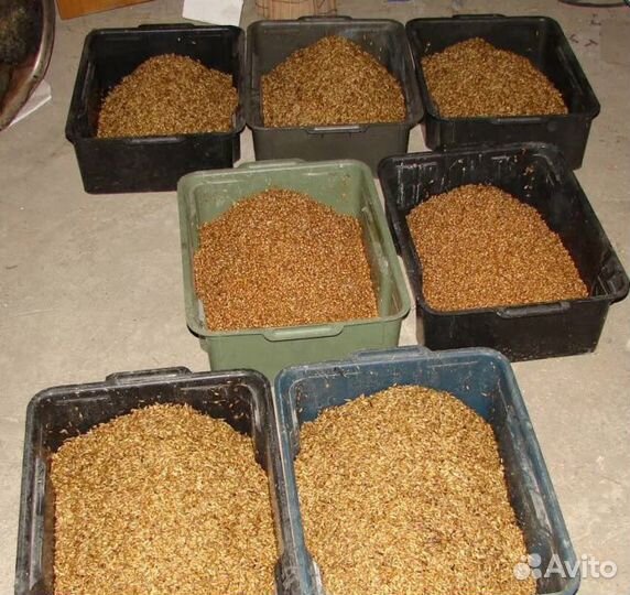 Корма и кормовые добавки