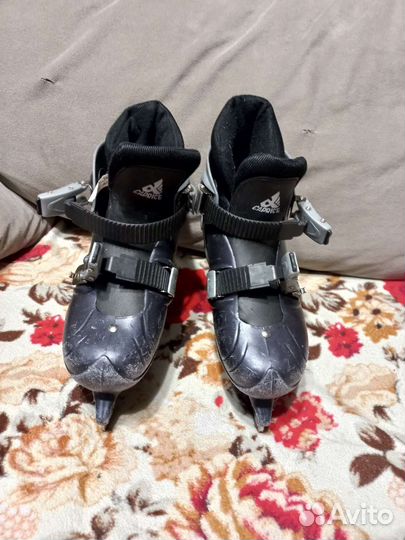 Коньки caprice