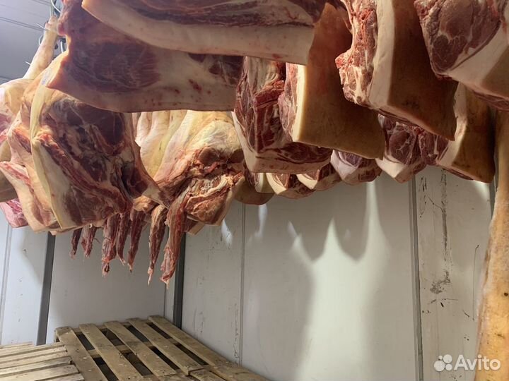 Мясо свинины