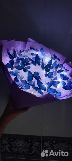 Аквариум с бабочками