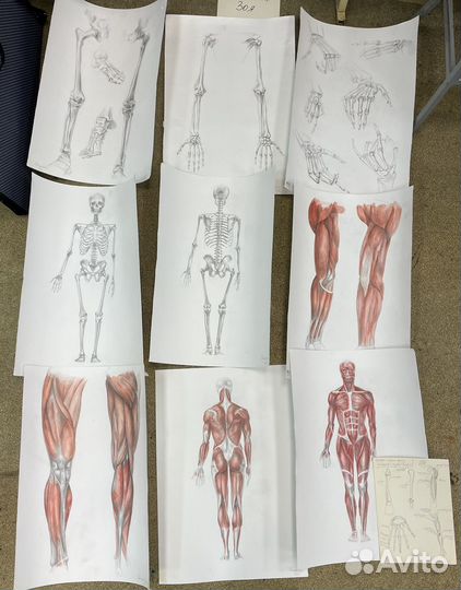 Уроки рисования