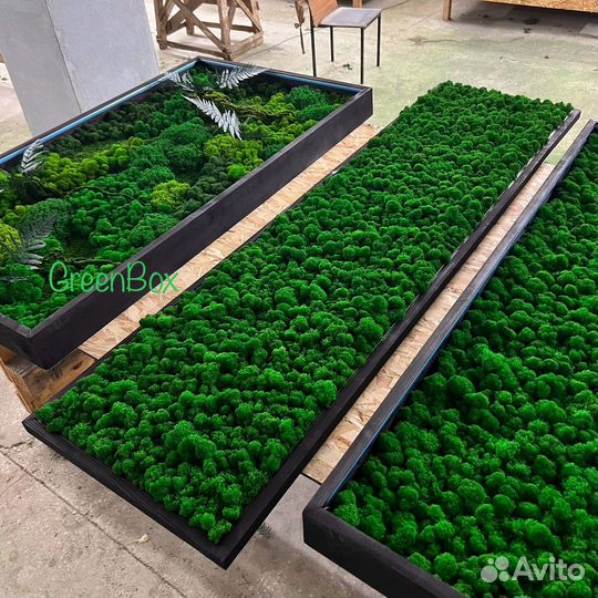 Панно из мха 180*50см