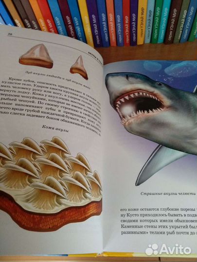 Серия Узнай мир