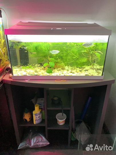 Аквариум eheim aquastar 54 л