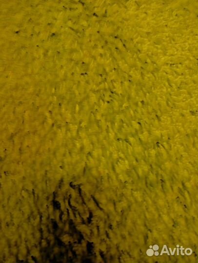 Ковровое покрытие бу