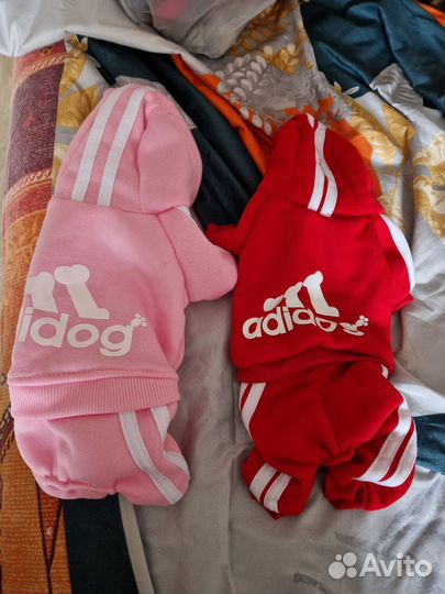 Одежда для собак мелких пород девочек