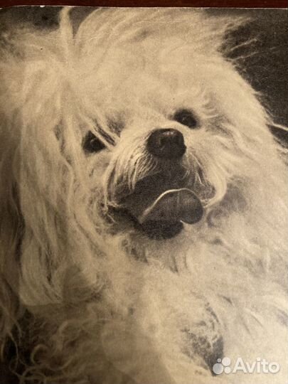 Открытки СССР