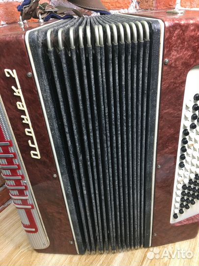 Баян огонек 2