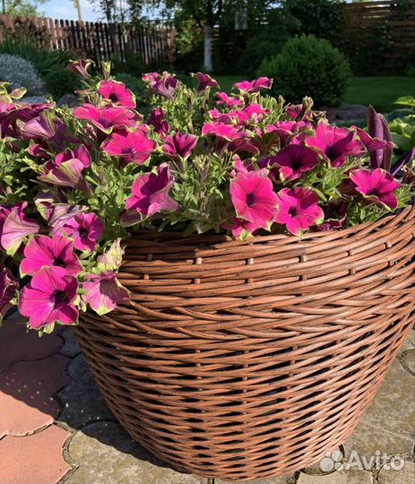 Кашпо из ротанга