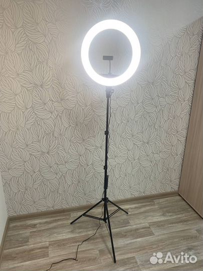 Аренда Кольцевой лампы 45 см со штативом