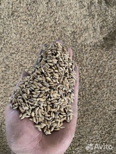 Зерносмесь дробленая, дерка