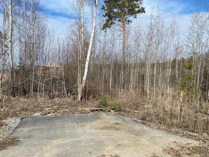 Участок 15,5 сот. (ИЖС)