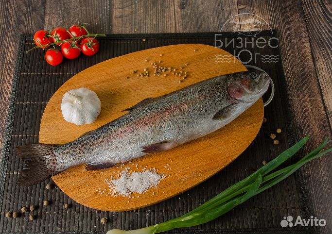Живая радужная форель