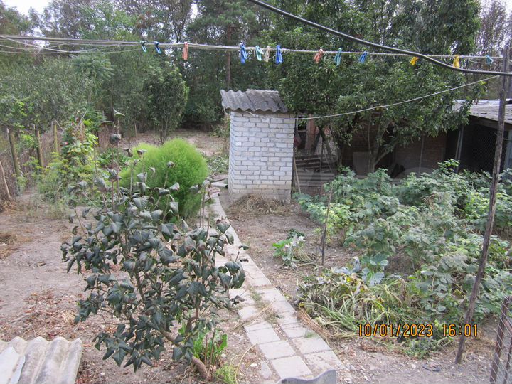 Дом 43,8 м² на участке 10 сот.