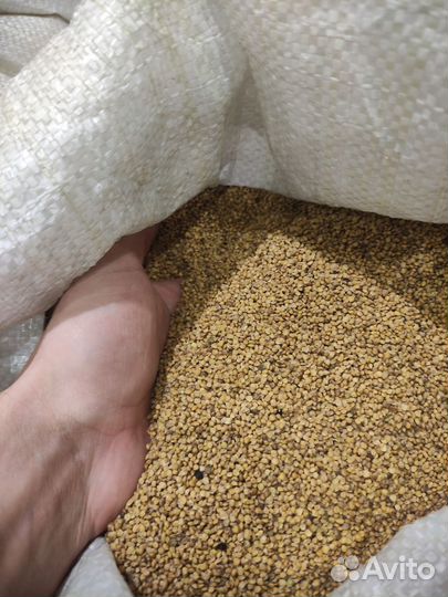 Жмых горчицы