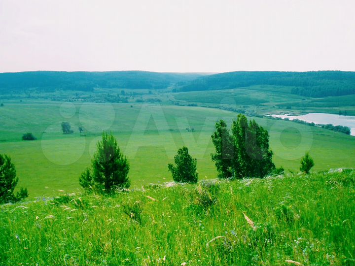 Участок 10 га (СНТ, ДНП)