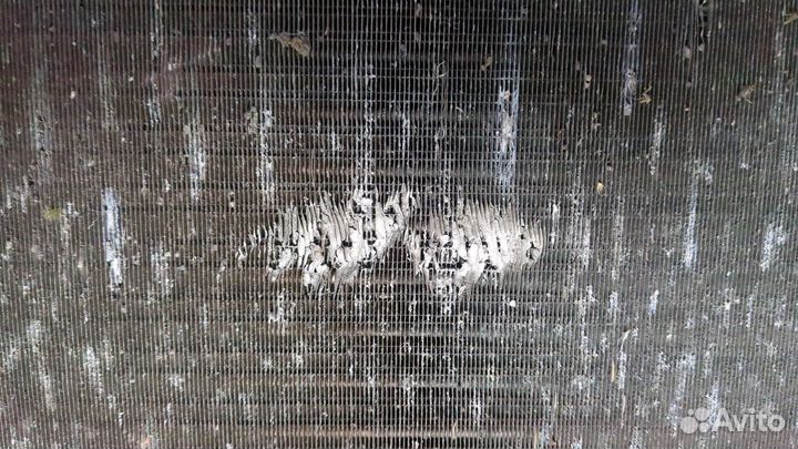 Радиатор охлаждения двигателя Volkswagen Transporter 4