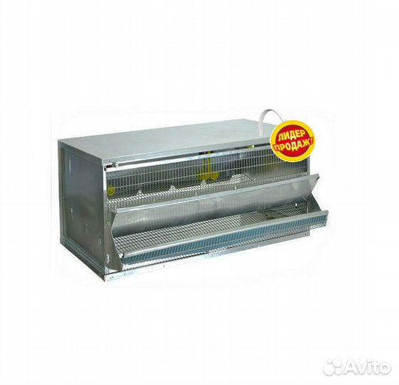 Клетка для перепелов