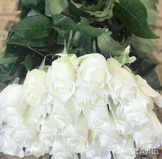 101 Роза Цветы Букеты 51 25 Роз Доставка