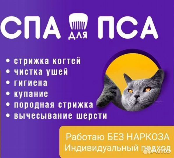 Груминг. Стрижки собак и кошек