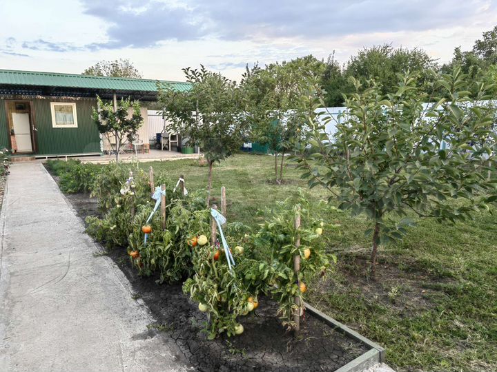 Дача 50 м² на участке 6 сот.