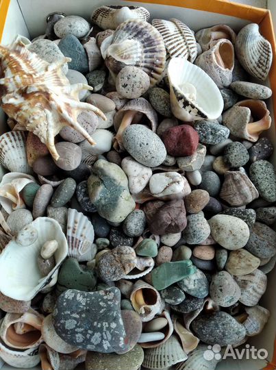 Ракушка и камень для аквариума