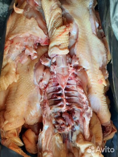 Спинки куриные