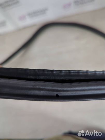 Уплотнитель двери задней BMW M5 F90 2019 7381326