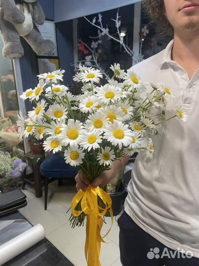 Букет ромашек, 101 ромашка