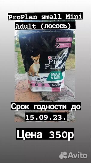 Корм для собак и кошек