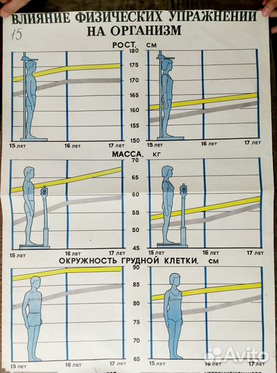 Плакаты СССР школьные здоровье физкультура