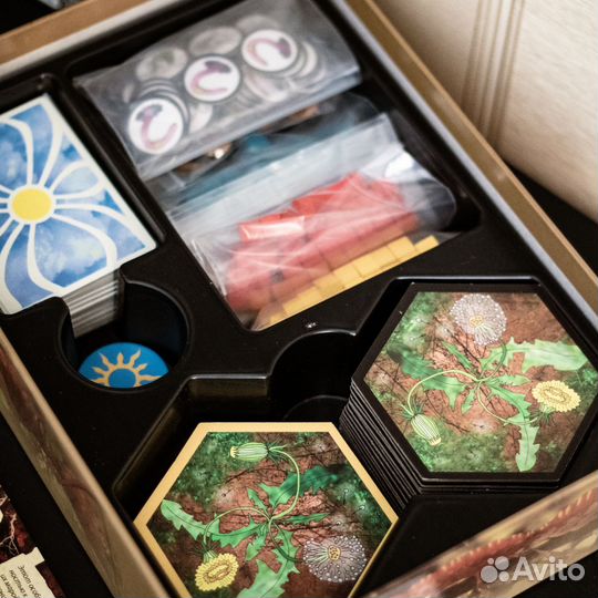 Настольные игры