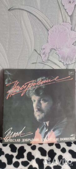 Виниловые пластинки Добрынин