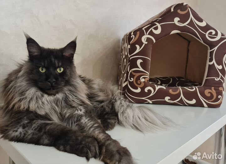 Домик для животных