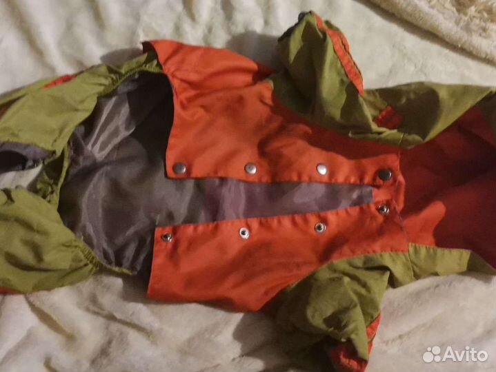 Одежда для собак мелких пород