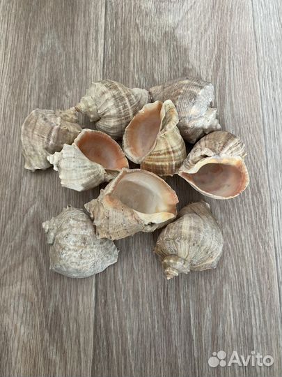 Аквариумная лампа