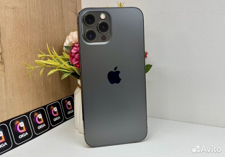 iPhone 12 Pro Max, 256 ГБ