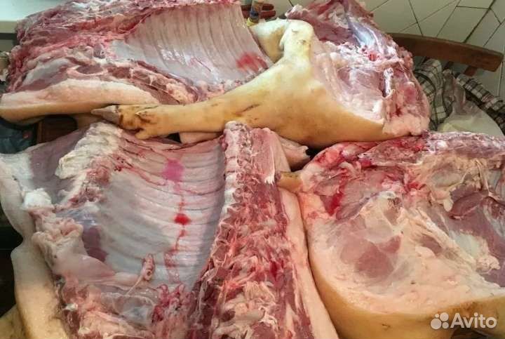 Сало и Перепёлки, мясо птицы