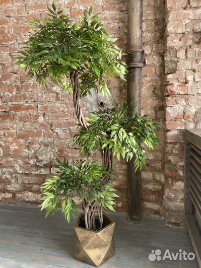 Искусственные деревья: Фикус, Пальма, Осока